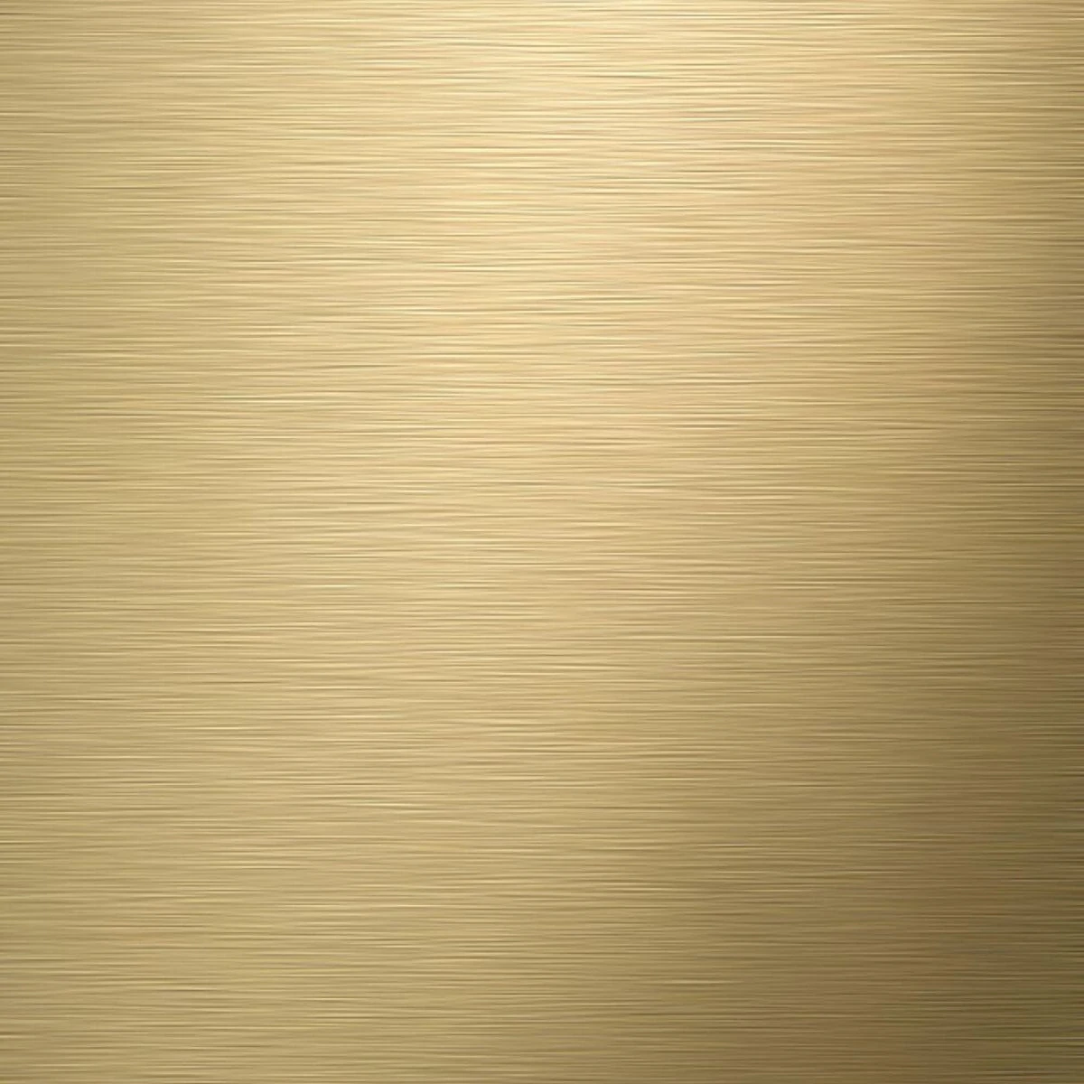 Tiger Tune - Toiletrolhouder Met Klep - Messing Geborsteld / Zwart 12 Tiger Tune - Toiletrolhouder Met Klep - Messing Geborsteld / Zwart - Afbeelding 10